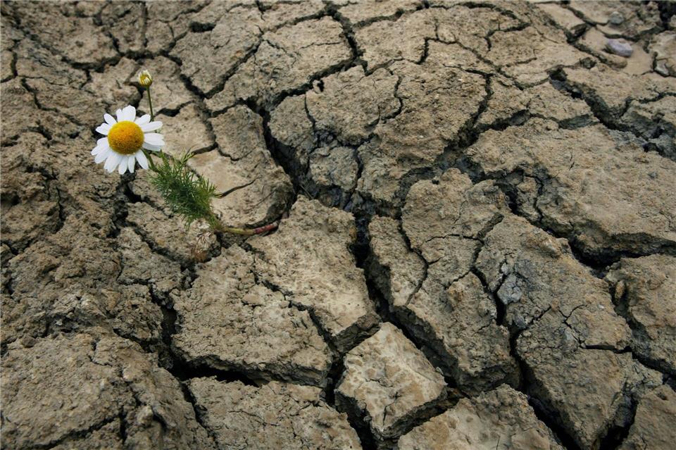 Wenn der Boden durstig wird: Risse zeigen, wie stark anhaltende Trockenheit dem Boden zusetzen kann.picture-alliance/ dpa