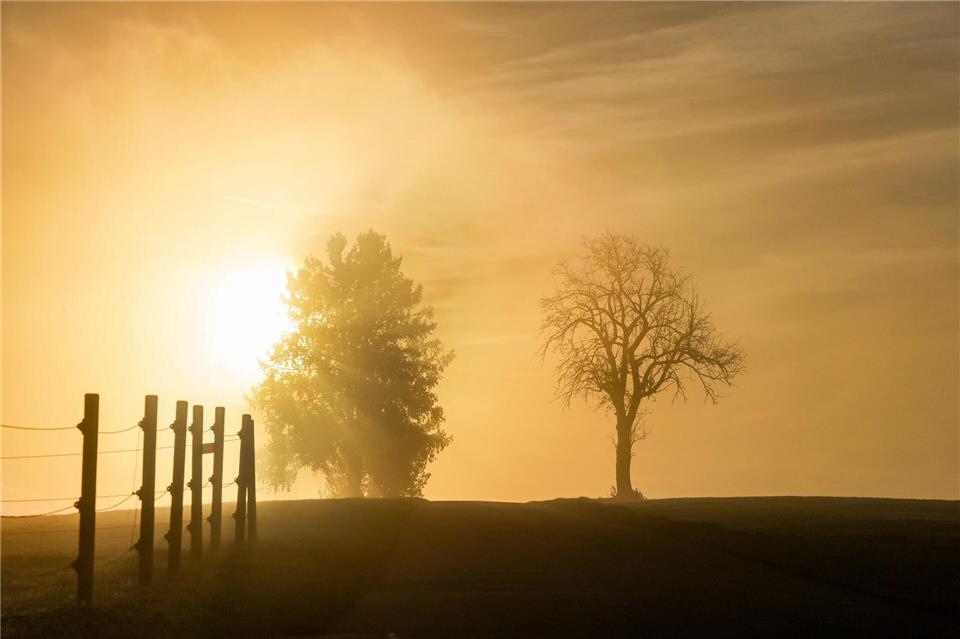 Wenn sich der Nebel aufgelöst hat, wird es in den kommenden Tagen im Südwesten recht freundlich. (Archivbild)Thomas Warnack/dpa