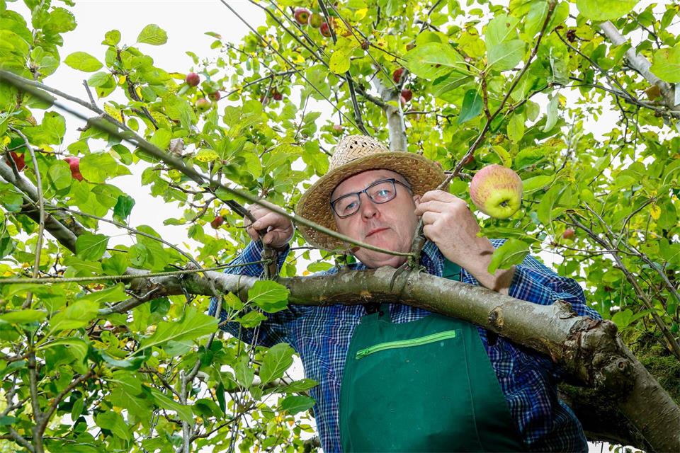 „Wenn wir hier auf dem Gelände einen größeren Apfelbaum hätten, wären es vielleicht auch 200 Sorten geworden“, sagte Gärtner Jochen Bock.Frank Molter/dpa