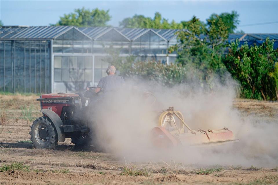 Wer Futter zukaufen muss, kann das jetzt bei der zuständigen Öko-Behörde beim Regierungspräsidium Karlsruhe beantragen.(Archiv)Uwe Anspach/dpa
