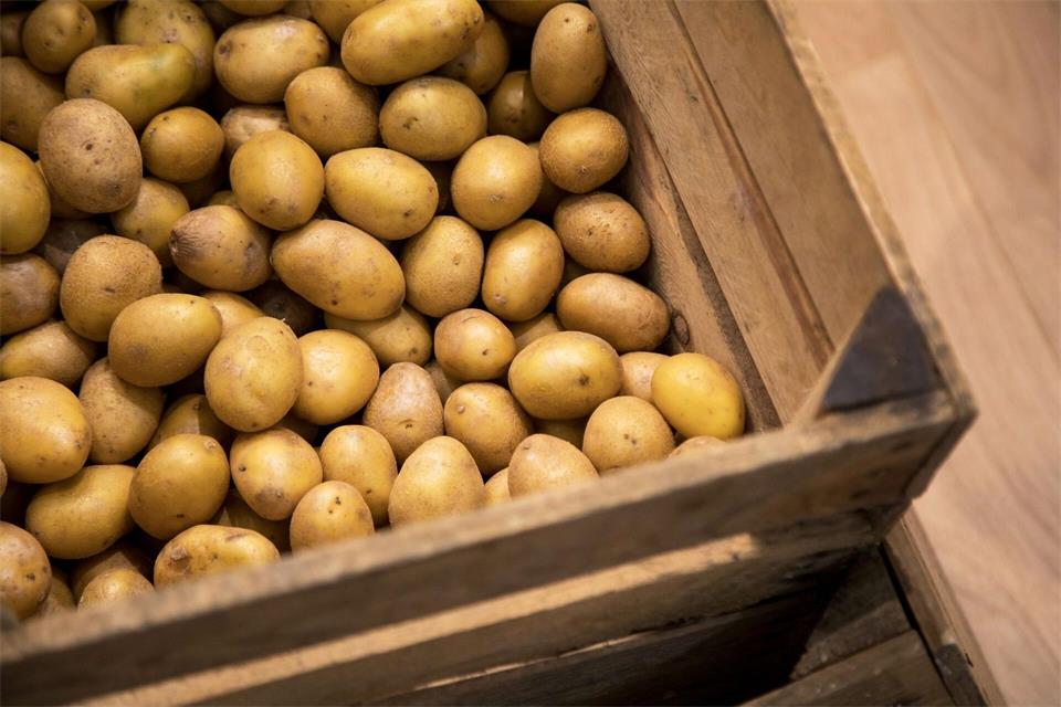 Wer Kartoffeln lagern will, sollte die Knollen an einem dunklen, trockenen Ort aufbewahren.Christin Klose/dpa-tmn