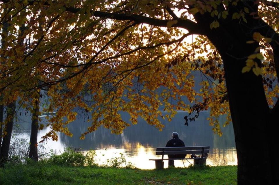 Wer Ruhe und Erholung sucht, wird am Pröbstingsee fündig.  