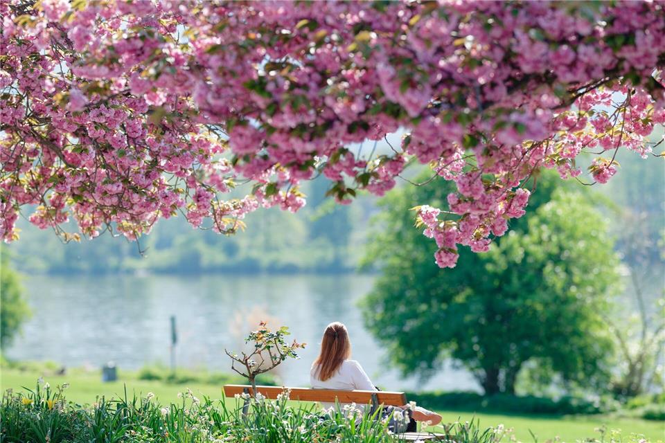 Wer Sonne tanken will, sollte schnell raus. (Archivbild)Uwe Anspach/dpa