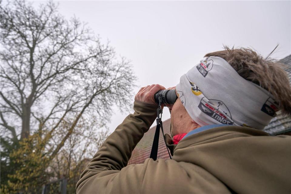 Wer Vögel sehen und hören will, muss früh aufstehen. Sascha Ditscher/dpa