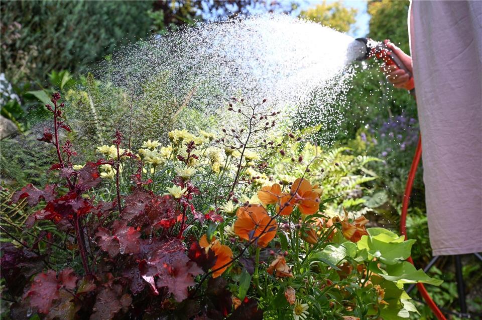Wer aktuell einen grünen Garten haben will, braucht viel Wasser. (Archivbild) Bernd Weißbrod/dpa