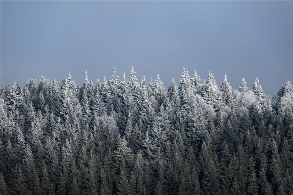 Wer bekommt die Sonne zu sehen? Das ist laut Deutschem Wetterdienst ein „Glücksspiel“. (Archivbild)Silas Stein/dpa