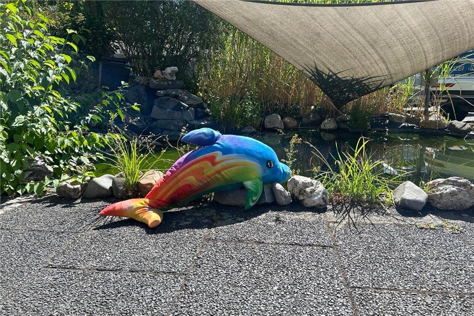 Wer das Delfin-Kuscheltier vermisst, kann sich bei der Polizei melden.--/Polizeiinspektion Andernach/dpa