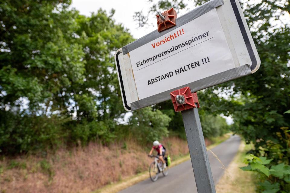 Wer den Raupen zu nahe kommt, riskiert allergische Reaktionen. (Archivbild)Pia Bayer/dpa