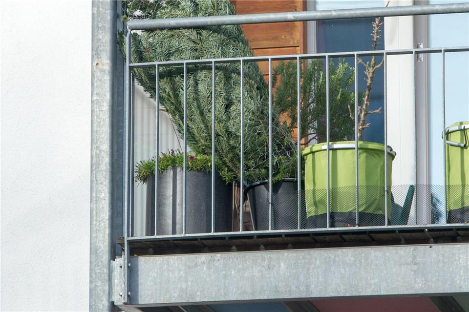 Wer den Weihnachtsbaum auf dem Balkon lagert, hält ihn länger frisch.Tobias Hase/dpa-tmn