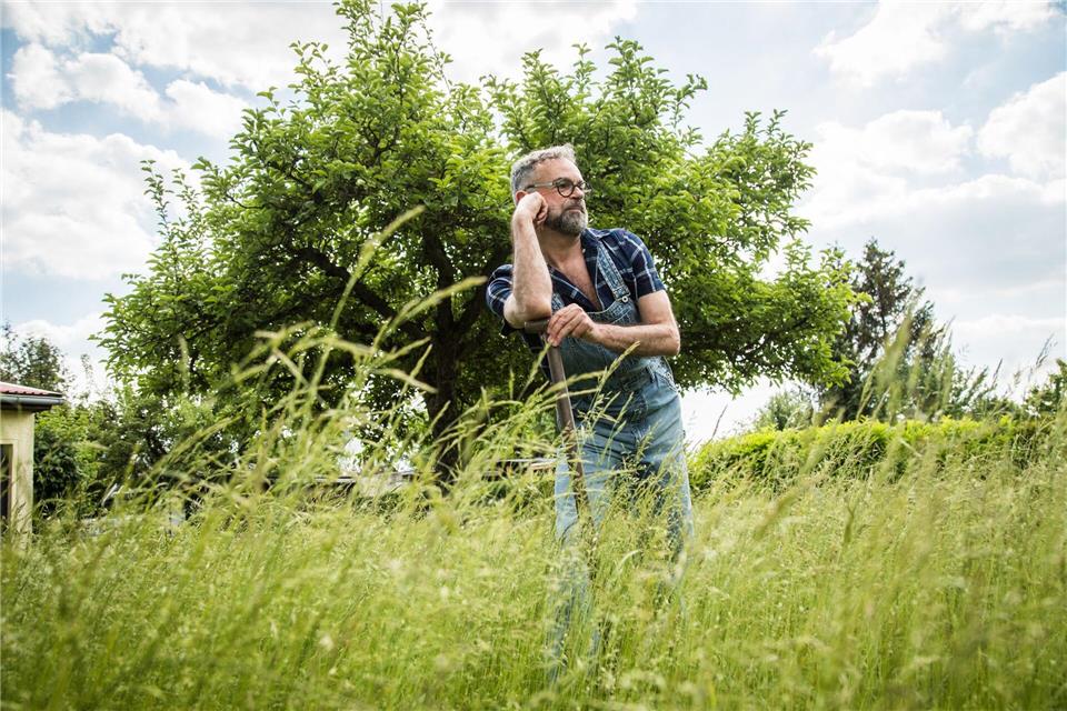 Wer eine Grünfläche im Garten haben will, hat viele Optionen: Rasen, Wiese - oder Kräuterrasen.picture alliance / dpa-tmn