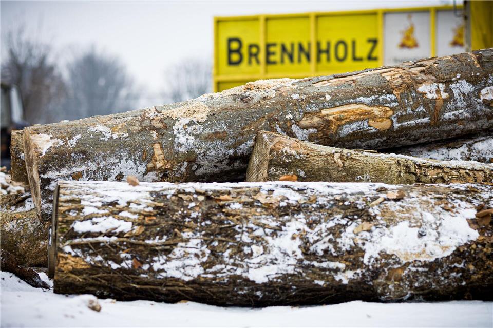 Wer im Winter Brennholz bestellt, sollte sich auf längere Lieferzeiten einstellen.Moritz Frankenberg/dpa