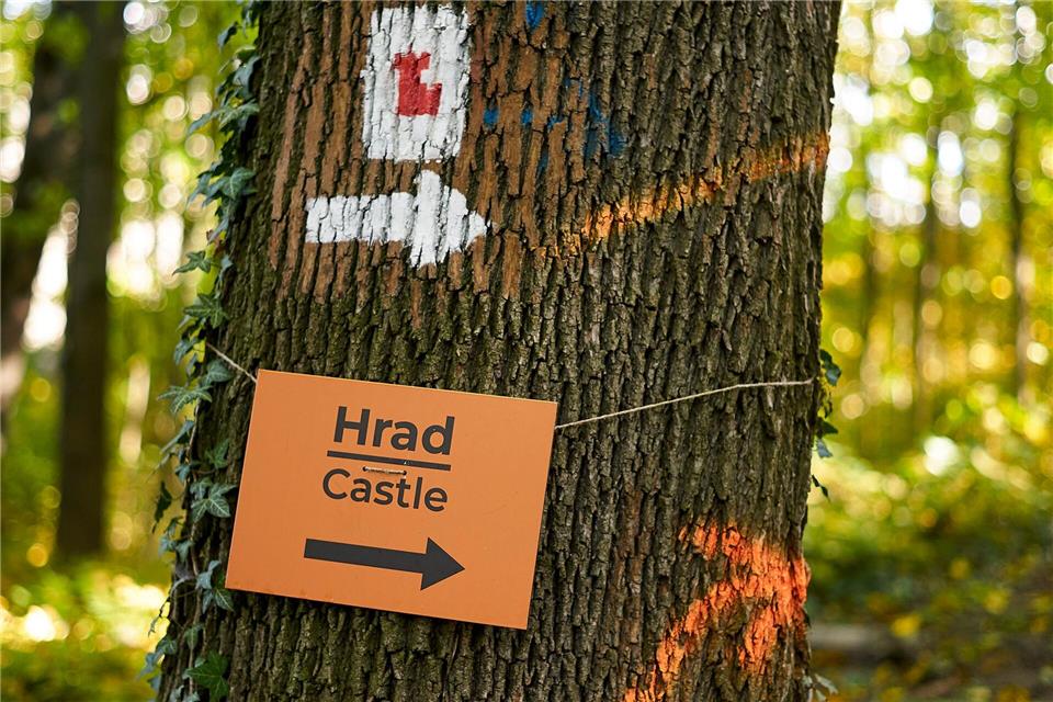 Wer nicht den direkten Weg gehen will, nimmt einen Abstecher durch ein Waldstück zur mittelalterlichen Burganlage im slowakischen Trencin.Michael Heitmann/dpa-tmn