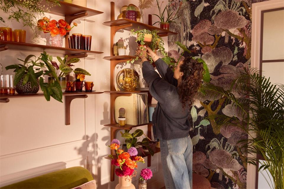 Wer nur wenig Platz für ausladende Pflanzen hat, kann mit hängenden und rankenden Arten die Wohnung verschönern.Plants & Flowers Foundation Holland/dpa-tmn