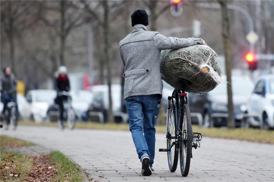 Wer sein Bäumchen liebt, der schiebt - und fällt damit auch nicht so schnell auf die Nase.picture alliance/dpa