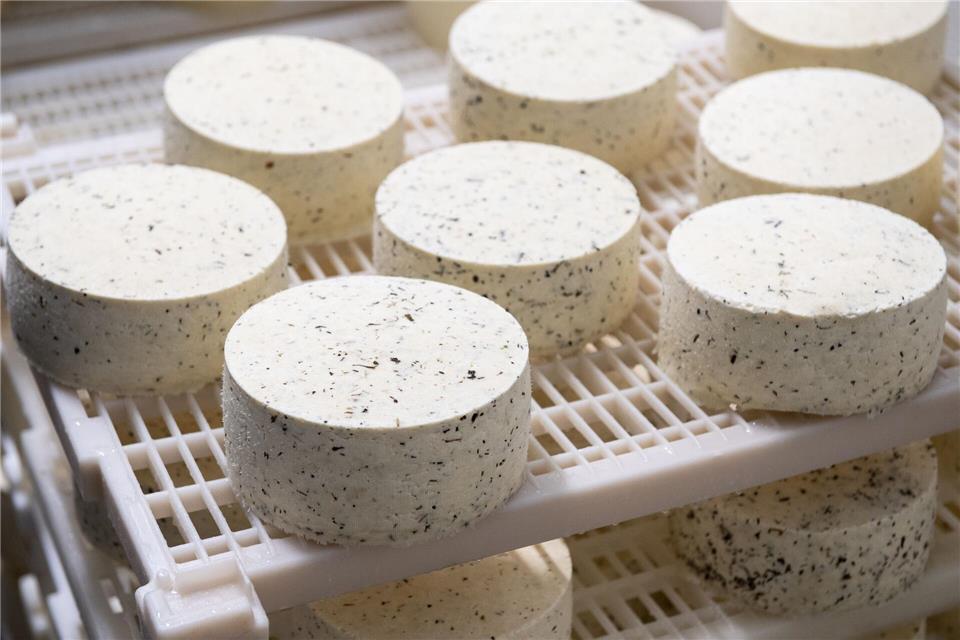 Wer sich in Quark und Frischkäse geübt hat, kann später auch zur Herstellung von Weichkäse übergehen.picture alliance / dpa Themendienst