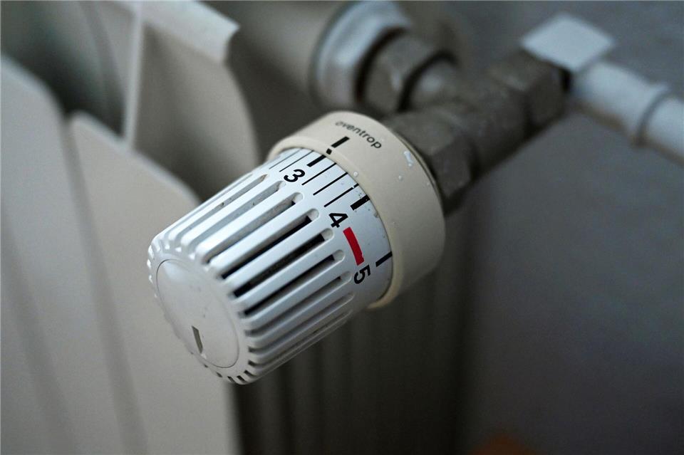 Wer trägt die Kosten durch den steigenden CO2-Preis? Der WWF hat Ideen. (Symbolfoto) Elisa Schu/dpa