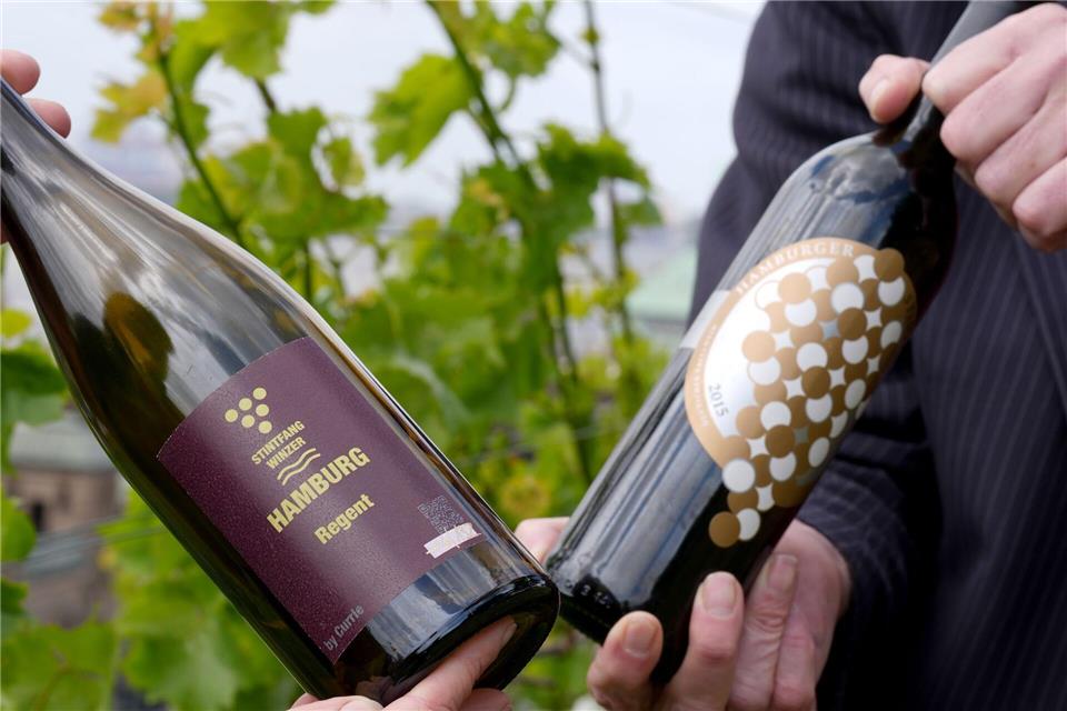 Wer trotzdem mal probieren will, kann zumindest die gleiche Sorte aus dem gleichen Weingut bei einer Führung durch den Hamburger Weinberg kosten. Marcus Brandt/dpa