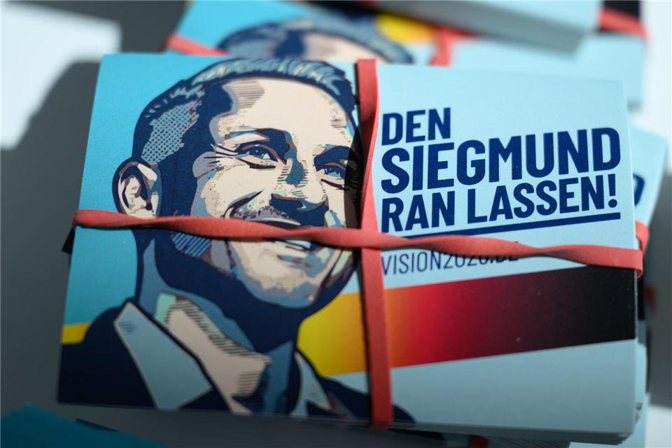 Werbematerial mit AfD-Spitzenkandidat Ulrich Siegmund ist reichlich vorhanden. (Archivbild)Hendrik Schmidt/dpa