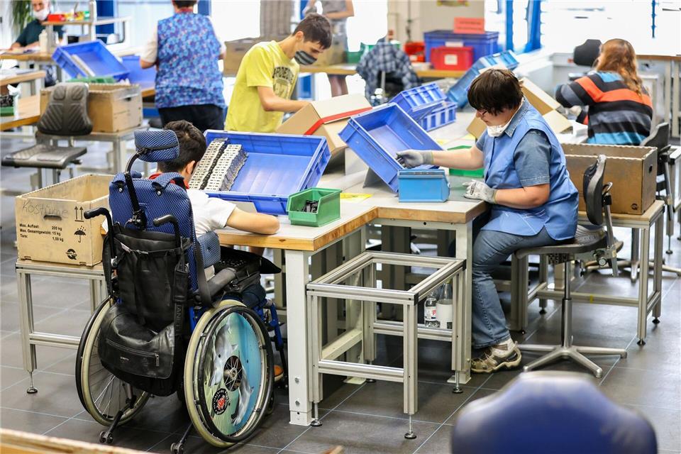 Werkstätten für Menschen mit Behinderungen haben verschiedene Funktionen. (Symbolbild)Jan Woitas/dpa-Zentralbild/dpa