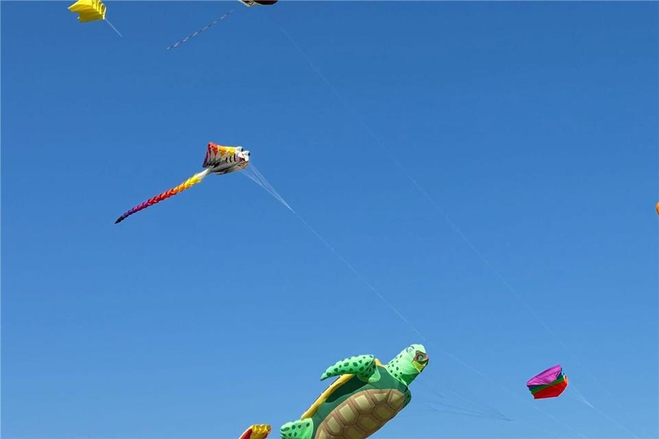 Wicki war auch am Himmel unterwegs.Caroline Bock/dpa