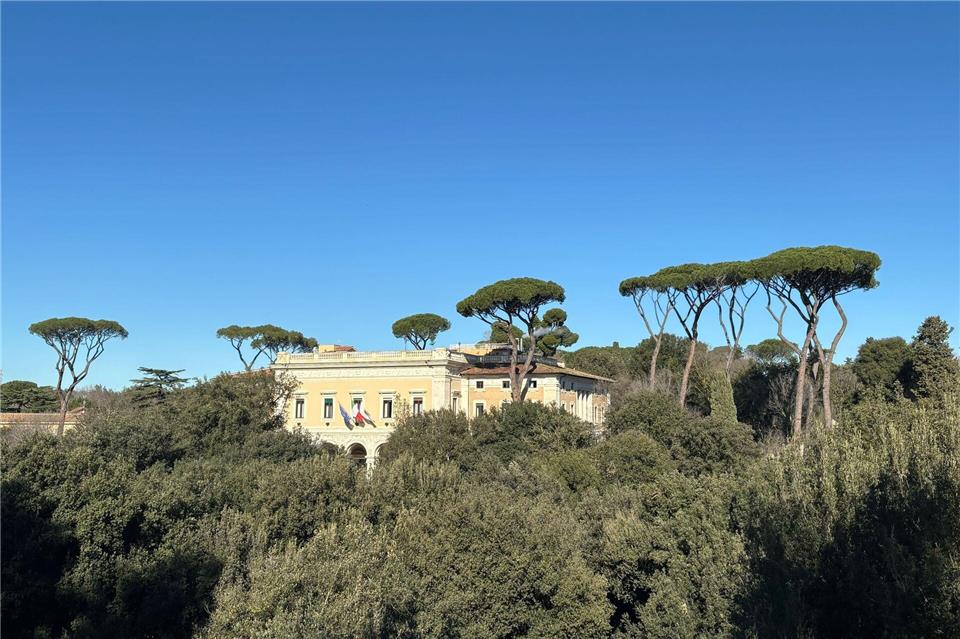 Wie Riesen ragen die Prachtpinien aus Roms Stadtbild heraus.Robert Messer/dpa