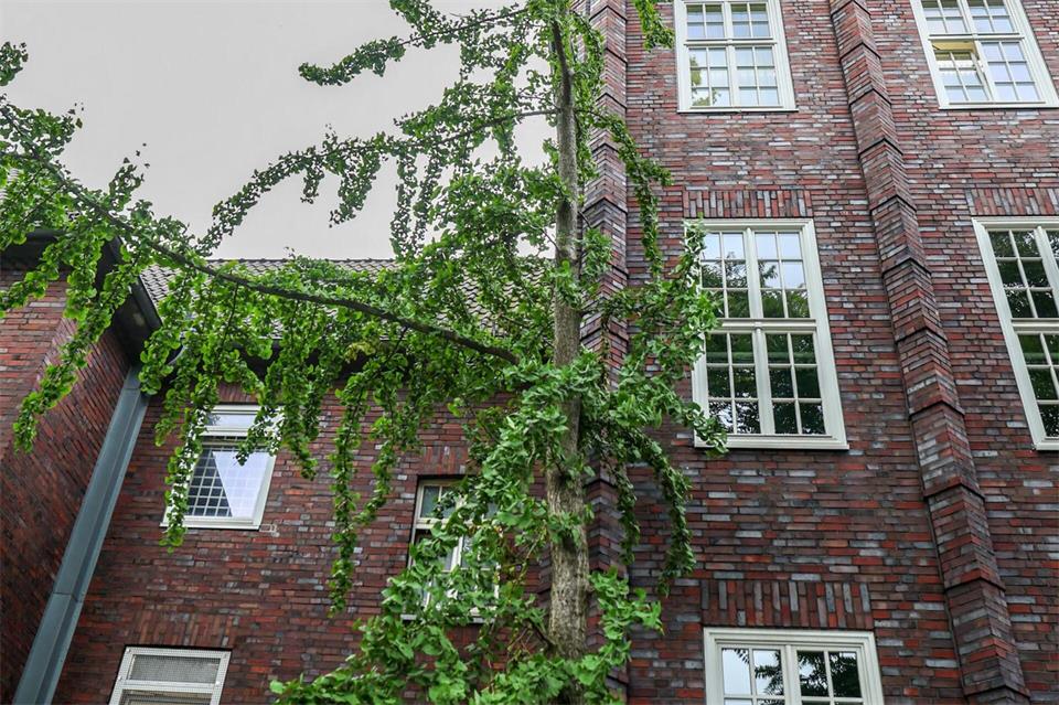 Wie der Häftling den Gitterstab vor seinem Fenster herausbekommen hat, um auszubrechen, ist noch völlig unklar. Christoph Reichwein/dpa