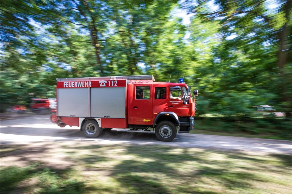 Wie gefährlich können Waldbrände für Wohngebiete werden? (Symbolbild)Frank Hammerschmidt/dpa