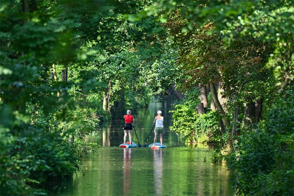 Wie hier im Spreewald ist das Stand-up-Paddling überall in Brandenburg beliebt. (Archivbild)Patrick Pleul/dpa