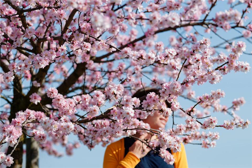 Wie riecht der Frühling? Starke Sinnesreize lassen uns lebendig fühlen. Wer bewusst darauf achtet, beschert sich Glücksmomente im Alltag.Uwe Anspach/dpa/dpa-tmn
