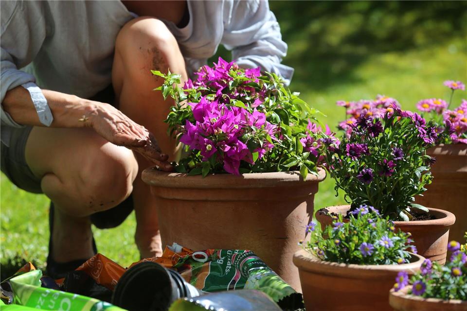 Wie und womit wir gärtnern, kann für das Klima einen Unterschied machen. Karl-Josef Hildenbrand/dpa-tmn