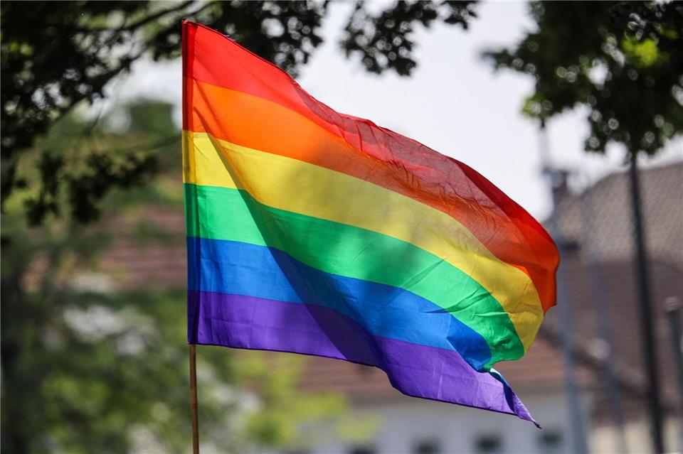 Wie unruhig wird der CSD am Sonntag in Cottbus? Es gibt Aufrufe zum Protest. (Symbolbild) Focke Strangmann/dpa