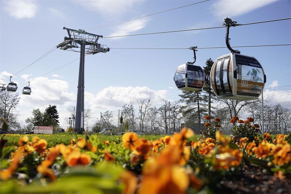 Wie während der Bundesgartenschau in Mannheim 2023 könnte eine Seilbahn nach Ludwigshafen schweben - doch vorerst wird daraus nichts. (Archivbild)Uwe Anspach/dpa