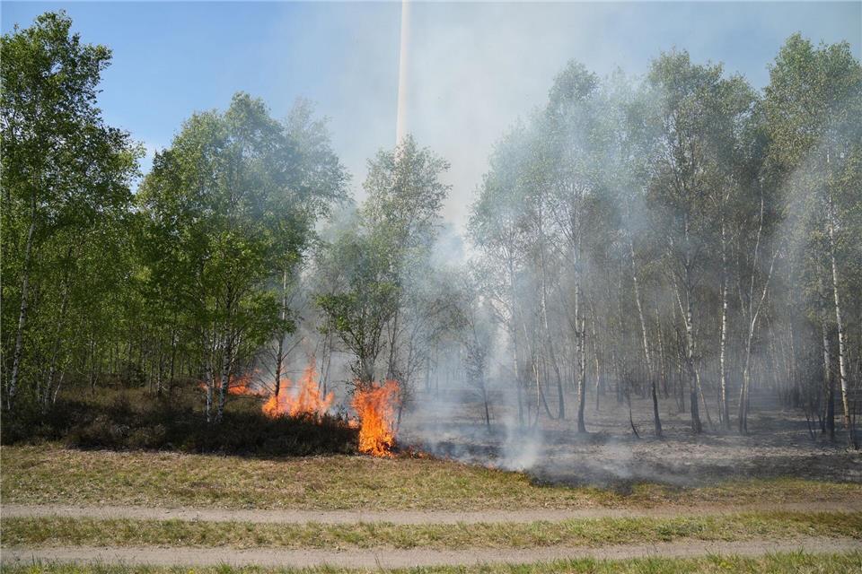 Wie weit breitet sich am Freitag aufgebrochene Waldbrand bei Jüterbog im Südwesten Brandenburgs noch aus?Manuel Genolet/dpa