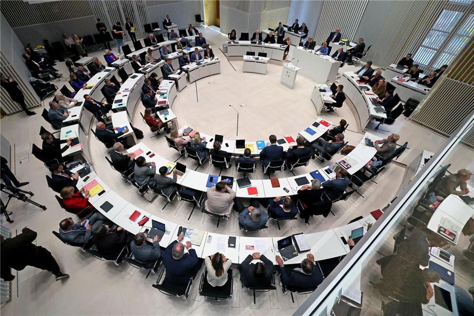 Wie weit muss der Schutz der Demokratie gehen? Über ein mögliches AfD-Verbot wird auch im Landtag in Schwerin gestritten. (Archivbild)    Bernd W�stneck/dpa