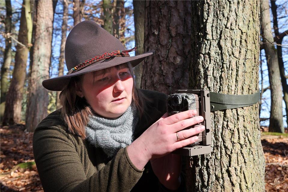 Wildkameras haben speziell für Wildkatzen präparierte Lockstöcke fest im Blick.Bernd Wüstneck/dpa