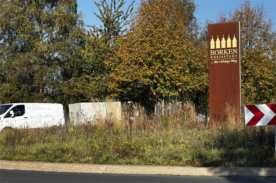 Wildkräuter haben in dem Kreisverkehr in den vergangenen Jahren überhandgenommen. Nun soll der Boden ausgetauscht und neu bepflanzt werden.