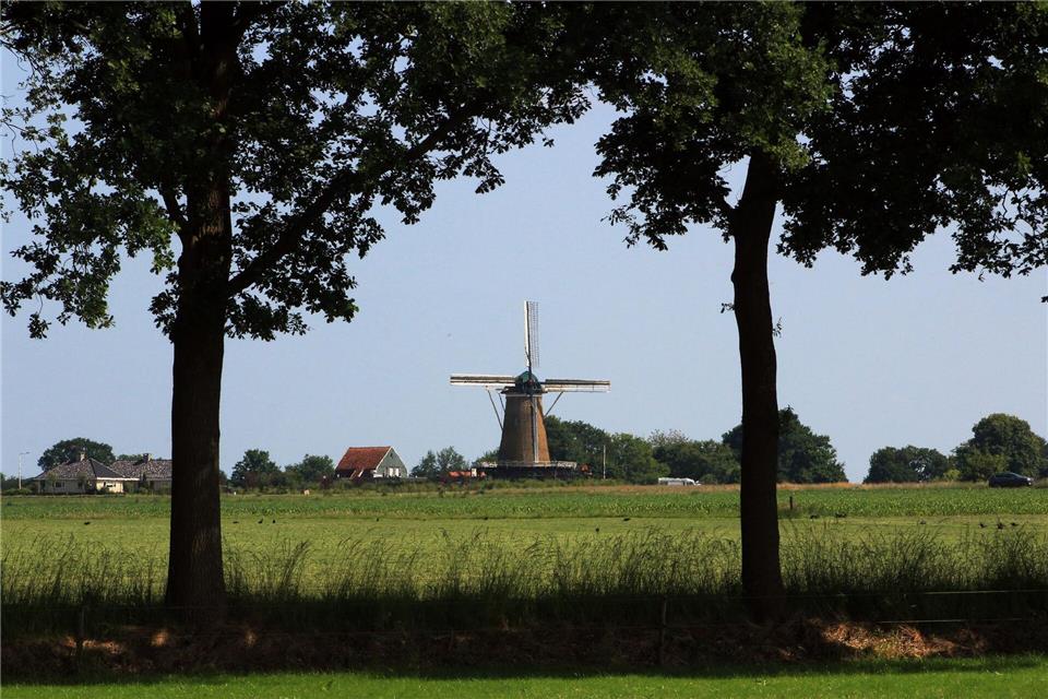 Windmühlen wie die Olde Mölle hat man in Achterhoek mitunter fast für sich: Touristenmassen sind hier nicht unterwegs. Bernd F. Meier/dpa-tmn
