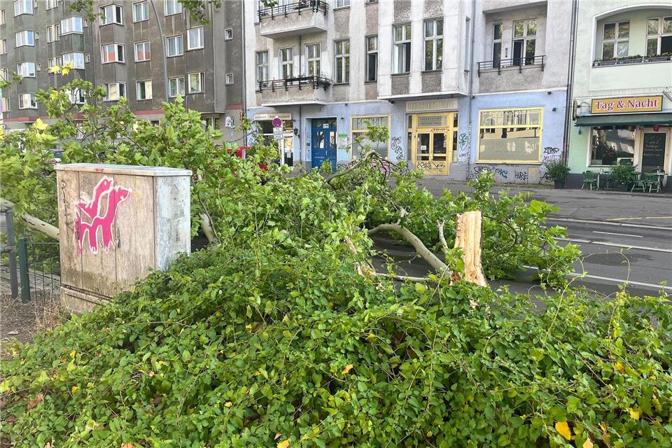 Windstärke 11 - so ein heftiger Wind ist in Berlin ungewöhnlich.Froben Homburger/dpa