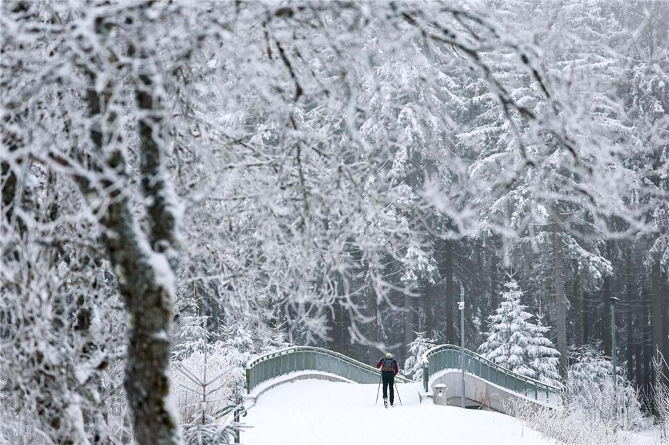 Winter im Gebirge: An der Kammloipe des Erzgebirges finden Skifahrer derzeit gute Bedingungen vor. Jan Woitas/dpa
