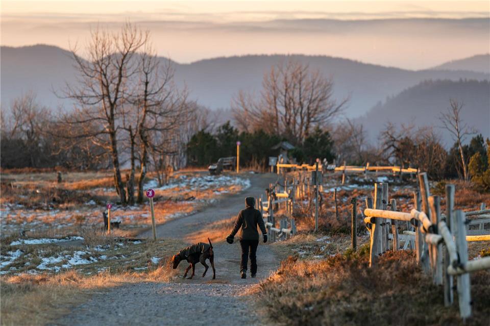 Winter im SchwarzwaldSilas Stein/dpa
