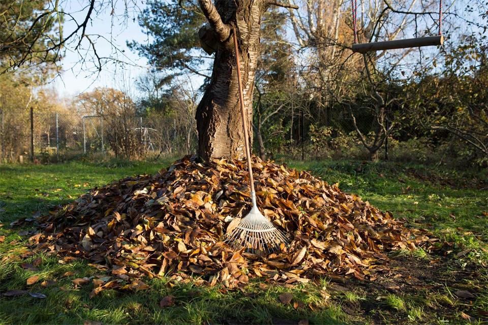 Winterquartier aus Laub: Unter einem großen Laubhaufen finden Kleintiere Schutz vor Kälte und Frost.Florian Schuh/dpa-tmn