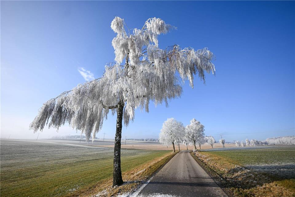 Wintertraum: Raureif bei strahlendem SonnenscheinMarius Bulling/onw-images/dpa