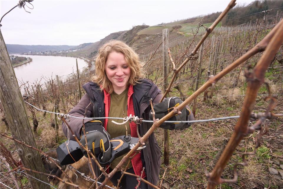 Winzerin Kira Blinn hofft, dass der Frost ihre Reben keinen Schaden zufügt. Thomas Frey/Thomas Frey