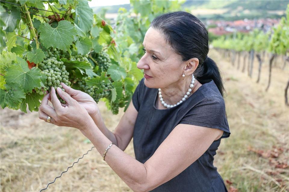 Winzermeisterin Elke Röder setzt seit Jahrzehnten auf alkoholfreien Wein. (Archivbild)Daniel Löb/dpa