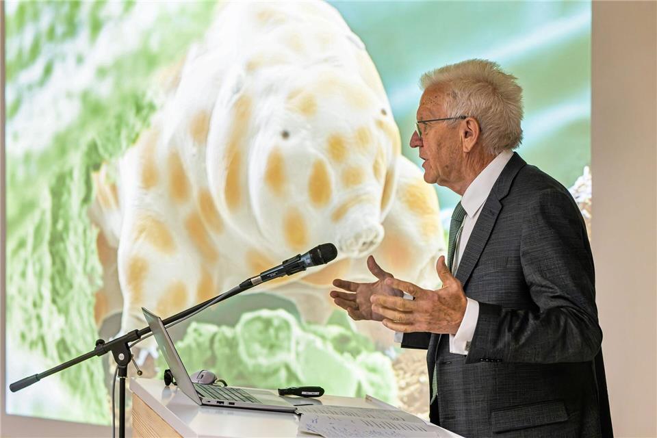 Winzig und doch bärenstark: Die neu entdeckte Bärtierchenart „Ramazzottius kretschmanni“.Philipp von Ditfurth/dpa