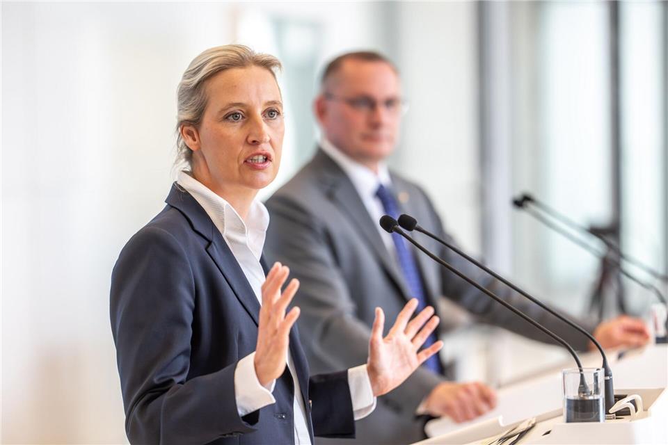 „Wir appellieren an alle Teile der Partei, sich entsprechend professionell zu verhalten und nicht zu spalten“, erklärten die Parteichefs Alice Weidel und Tino Chrupalla. (Archivbild)Michael Kappeler/dpa
