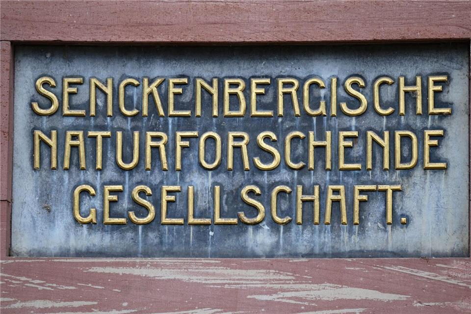 „Wir müssen Verantwortung übernehmen.“ (Archivbild)Arne Dedert/dpa