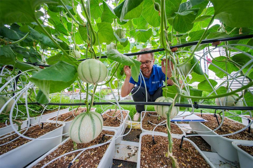 „Wir sind eine Art Stiftung Warentest für Gärtner“, sagt Gartenbauingenieur Michael Kloss.Andreas Arnold/dpa