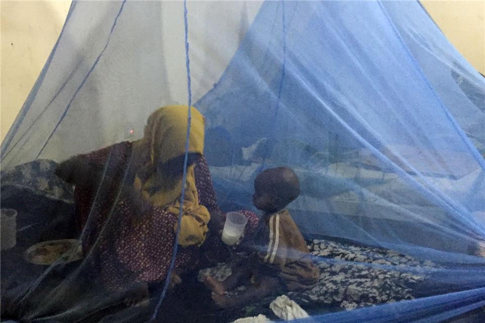 Wirksamer Schutz vor Malaria: Moskitonetze. (Archivbild)Eva-Maria Krafczyk/dpa