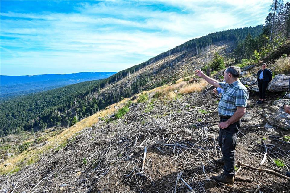 Wirtschaftsminister Hubert Aiwanger steht in einem Waldstück nahe Bodenmais (Landkreis Regen), in dem nach Borkenkäferbefall etliche abgestorbene Bäume übriggeblieben sind.Armin Weigel/dpa
